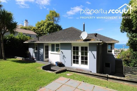 Photo of property in 14 Coney Hill Road, Saint Clair, Dunedin, 9012