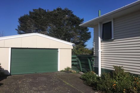 Photo of property in 17 Raleigh Street, Waitara, 4320