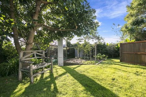 Photo of property in 41 Cameron Road, Te Puke, 3119