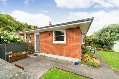 Photo of property in 46a Skerman Street, Marton, 4710