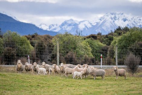 Photo of property in 877 Manapouri Te Anau Highway, Te Anau, 9679