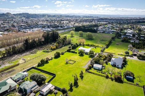 Photo of property in 7b Gordon Street, Jervoistown, Napier, 4112
