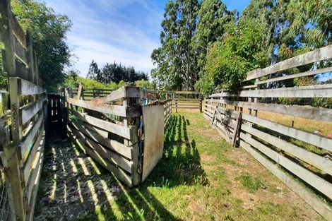 Photo of property in 746 Clutha River Road, Rongahere, Balclutha, 9274