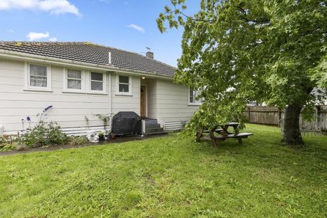Photo of property in 259 Oxford Terrace, Avalon, Lower Hutt, 5011