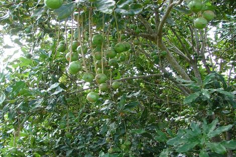 Photo of property in 882 South Head Road, South Head, Helensville, 0874