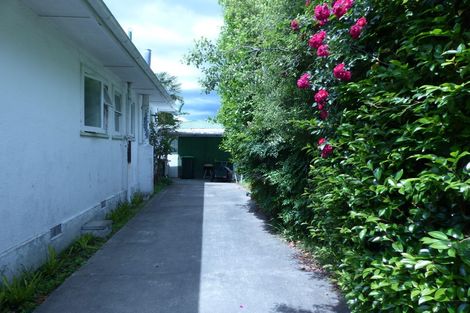 Photo of property in 905 Rangiora Street, Mahora, Hastings, 4120
