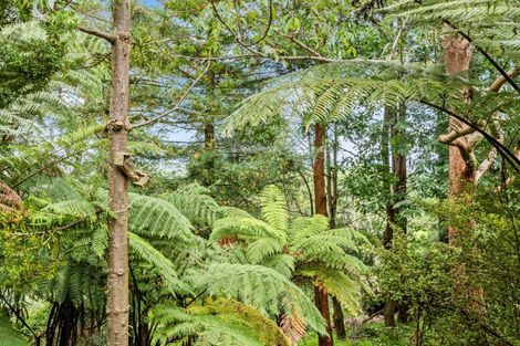 Photo of property in 145 Wairoa Road, Minden, Tauranga, 3171