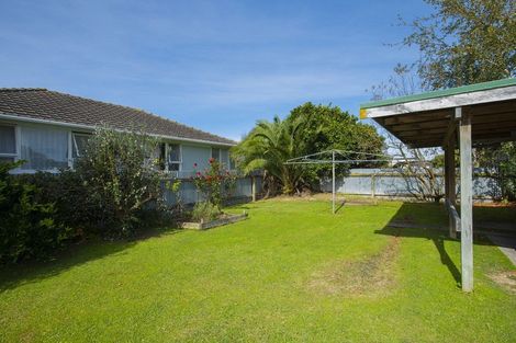 Photo of property in 8 Patrick Street, Mangapapa, Gisborne, 4010