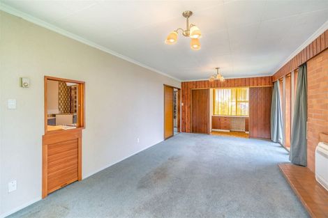 Photo of property in 20 Garden Street, Lumsden, 9730