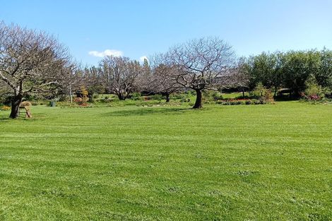 Photo of property in 40 Cashel Street, Waimate, 7924