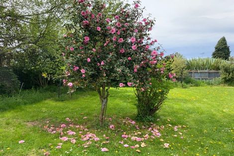 Photo of property in 10 Cameron Street, Methven, 7730