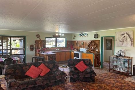 Photo of property in 72 Tirohanga Road, Tirohanga, Opotiki, 3197
