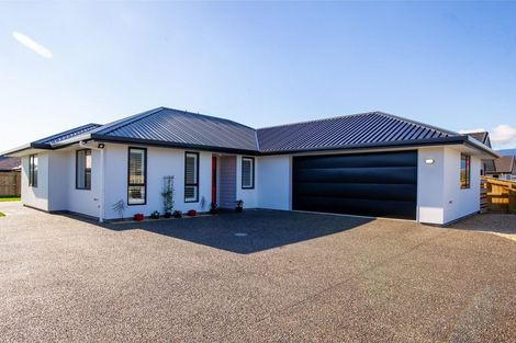 Photo of property in 60 Berryfield Drive, Richmond, 7020