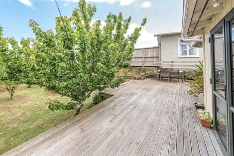 Photo of property in 25 Abbot Street, Gonville, Whanganui, 4501