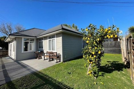 Photo of property in 163 Galloway Street, Hamilton East, Hamilton, 3216