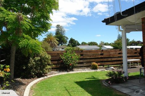 Photo of property in 16c Burrows Street, Tauranga South, Tauranga, 3112