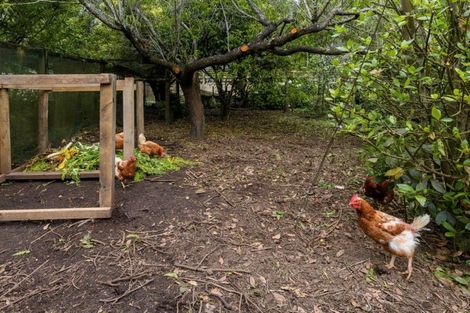 Photo of property in 43 Goodall Road, Whakamarama, Tauranga, 3179