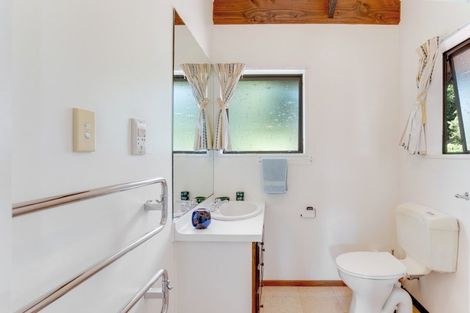 Photo of property in 22 Gilbert Mair Rise, Russell, 0272