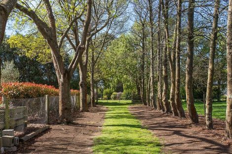 Photo of property in 41 Kingcraft Drive, Prebbleton, Christchurch, 7676