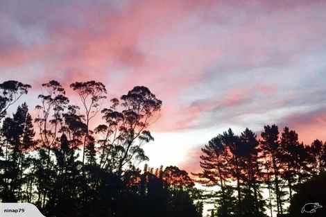 Photo of property in 93b Pungaere Road, Waipapa, Kerikeri, 0295