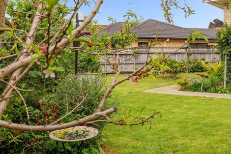 Photo of property in 11a Lilac Place, Otumoetai, Tauranga, 3110