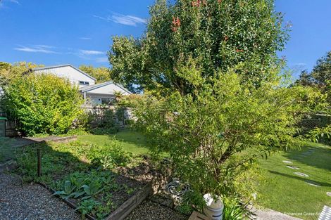 Photo of property in 19 Franklin Terrace, Havelock North, 4130