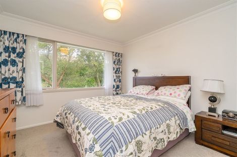 Photo of property in 67 Maryhill Terrace, Maryhill, Dunedin, 9011