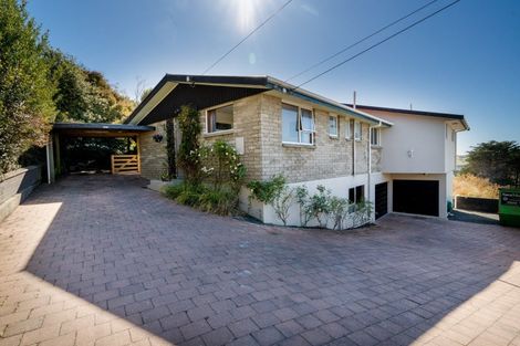 Photo of property in 151 Tomahawk Road, Andersons Bay, Dunedin, 9013