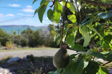 Photo of property in 61 Scott Road, Tamaterau, Whangarei, 0174