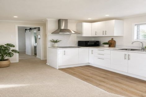Photo of property in 311 Norton Road, Akina, Hastings, 4122