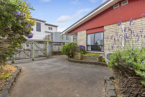 Photo of property in 14 Sackville Street, Fitzroy, New Plymouth, 4312