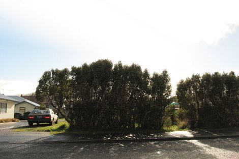 Photo of property in 166a-d Eye Street, Appleby, Invercargill, 9812