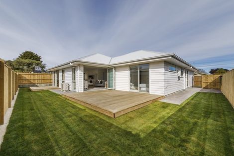 Photo of property in 200a South Street, Feilding, 4702