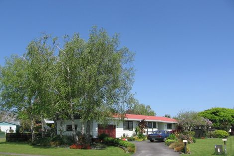 Photo of property in 17 Buchanan Street, Matamata, 3400