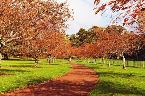 Photo of property in 1/696 Manukau Road, Royal Oak, Auckland, 1023