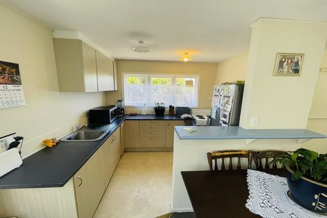 Photo of property in 28 Larissa Avenue, Henderson, Auckland, 0610