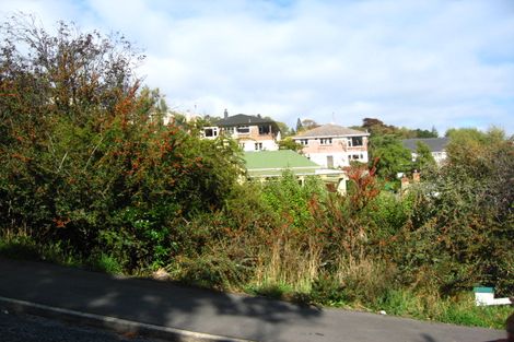 Photo of property in 46 Chambers Street, North East Valley, Dunedin, 9010