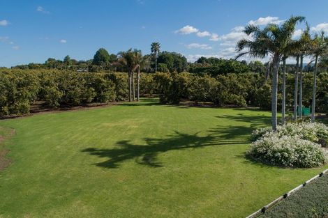 Photo of property in 317 Pahoia Road, Whakamarama, Tauranga, 3172