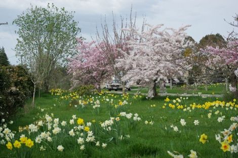 Photo of property in 37 Kerrytown Road, Levels, Timaru, 7975