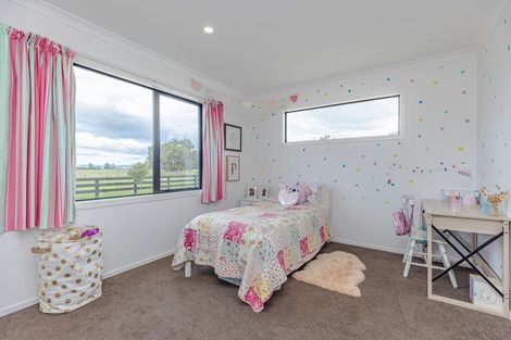 Photo of property in 115 Budd Road, Matahiwi, Masterton, 5888