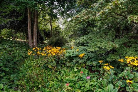 Photo of property in 38 Grammar Street, Kimbolton, 4777