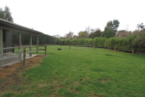 Photo of property in 32 Mcdonald Road, Levin, 5571