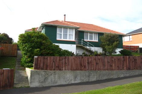 Photo of property in 103 Caldwell Street, Brockville, Dunedin, 9011