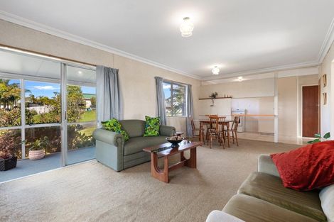 Photo of property in 1b Birmingham Street, Judea, Tauranga, 3110