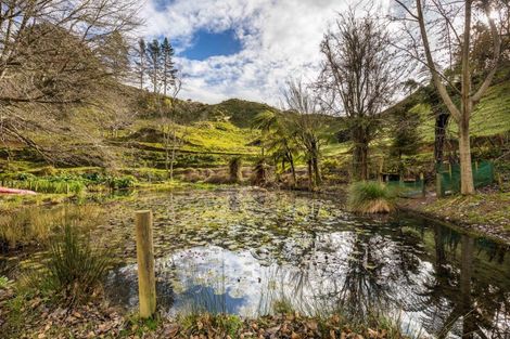 Photo of property in 822 Motukawa Road, Tarata, Inglewood, 4387