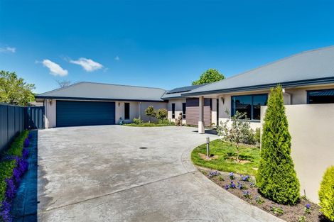 Photo of property in 6 Donald Place, Frimley, Hastings, 4120