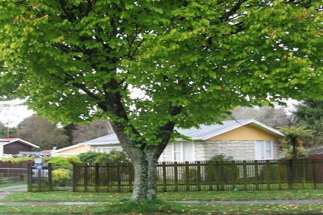 Photo of property in 111 Richmond Avenue, Tokoroa, 3420