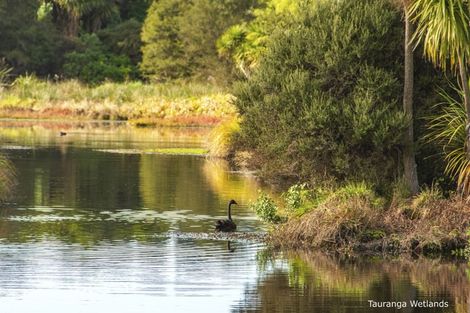 Photo of property in 307 Carmichael Road, Brookfield, Tauranga, 3110