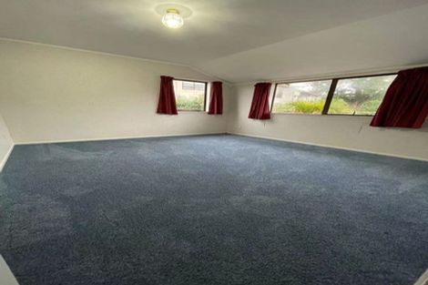 Photo of property in 20 Karetu Road, Greenlane, Auckland, 1051