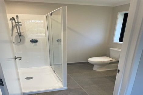 Photo of property in 24 Rongomai Street, Helensville, 0800